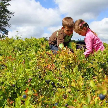 Apartment Willkommen
