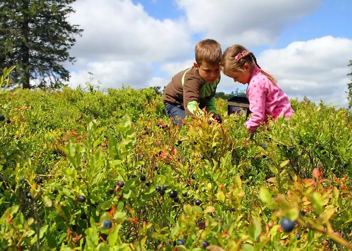 Lejlighed Willkommen